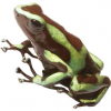 https://www.americanbreeder.com/images/com_adsmanager/categories/6771cat_t.jpg
