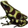https://www.americanbreeder.com/images/com_adsmanager/categories/6772cat_t.jpg