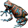 https://www.americanbreeder.com/images/com_adsmanager/categories/6773cat_t.jpg