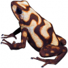 https://www.americanbreeder.com/images/com_adsmanager/categories/6774cat_t.jpg