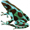 https://www.americanbreeder.com/images/com_adsmanager/categories/6779cat_t.jpg