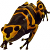https://www.americanbreeder.com/images/com_adsmanager/categories/6786cat_t.jpg