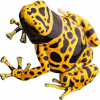 https://www.americanbreeder.com/images/com_adsmanager/categories/6790cat_t.jpg