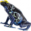 https://www.americanbreeder.com/images/com_adsmanager/categories/6794cat_t.jpg