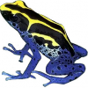 https://www.americanbreeder.com/images/com_adsmanager/categories/6803cat_t.jpg