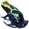 https://www.americanbreeder.com/images/com_adsmanager/categories/6805cat_t.jpg