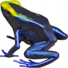 https://www.americanbreeder.com/images/com_adsmanager/categories/6810cat_t.jpg