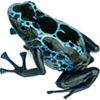 https://www.americanbreeder.com/images/com_adsmanager/categories/6812cat_t.jpg