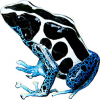 https://www.americanbreeder.com/images/com_adsmanager/categories/6814cat_t.jpg