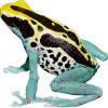 https://www.americanbreeder.com/images/com_adsmanager/categories/6815cat_t.jpg