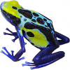 https://www.americanbreeder.com/images/com_adsmanager/categories/6819cat_t.jpg