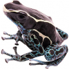 https://www.americanbreeder.com/images/com_adsmanager/categories/6821cat_t.jpg