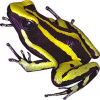 https://www.americanbreeder.com/images/com_adsmanager/categories/6826cat_t.jpg
