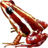 https://www.americanbreeder.com/images/com_adsmanager/categories/6828cat_t.jpg