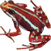 https://www.americanbreeder.com/images/com_adsmanager/categories/6829cat_t.jpg