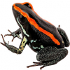 https://www.americanbreeder.com/images/com_adsmanager/categories/6831cat_t.jpg