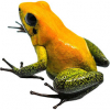 https://www.americanbreeder.com/images/com_adsmanager/categories/6832cat_t.jpg