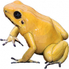 https://www.americanbreeder.com/images/com_adsmanager/categories/6836cat_t.jpg