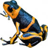 https://www.americanbreeder.com/images/com_adsmanager/categories/6839cat_t.jpg