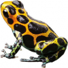 https://www.americanbreeder.com/images/com_adsmanager/categories/6840cat_t.jpg