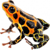 https://www.americanbreeder.com/images/com_adsmanager/categories/6842cat_t.jpg
