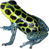 https://www.americanbreeder.com/images/com_adsmanager/categories/6843cat_t.jpg
