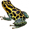 https://www.americanbreeder.com/images/com_adsmanager/categories/6844cat_t.jpg