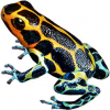 https://www.americanbreeder.com/images/com_adsmanager/categories/6845cat_t.jpg