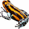 https://www.americanbreeder.com/images/com_adsmanager/categories/6849cat_t.jpg