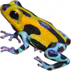 https://www.americanbreeder.com/images/com_adsmanager/categories/6851cat_t.jpg