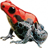 https://www.americanbreeder.com/images/com_adsmanager/categories/6853cat_t.jpg