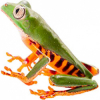 https://www.americanbreeder.com/images/com_adsmanager/categories/6859cat_t.jpg