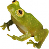 https://www.americanbreeder.com/images/com_adsmanager/categories/6866cat_t.jpg