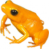 https://www.americanbreeder.com/images/com_adsmanager/categories/6877cat_t.jpg