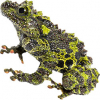 https://www.americanbreeder.com/images/com_adsmanager/categories/6886cat_t.jpg
