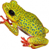 https://www.americanbreeder.com/images/com_adsmanager/categories/6895cat_t.jpg