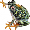 https://www.americanbreeder.com/images/com_adsmanager/categories/6897cat_t.jpg