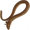 https://www.americanbreeder.com/images/com_adsmanager/categories/6917cat_t.jpg