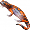 https://www.americanbreeder.com/images/com_adsmanager/categories/6931cat_t.jpg