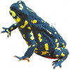 https://www.americanbreeder.com/images/com_adsmanager/categories/6947cat_t.jpg