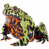 https://www.americanbreeder.com/images/com_adsmanager/categories/6950cat_t.jpg