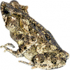 https://www.americanbreeder.com/images/com_adsmanager/categories/6983cat_t.jpg