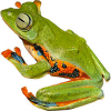 https://www.americanbreeder.com/images/com_adsmanager/categories/7006cat_t.jpg