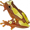 https://www.americanbreeder.com/images/com_adsmanager/categories/7007cat_t.jpg