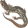 https://www.americanbreeder.com/images/com_adsmanager/categories/7015cat_t.jpg