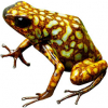 https://www.americanbreeder.com/images/com_adsmanager/categories/7032cat_t.jpg