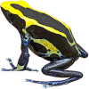 https://www.americanbreeder.com/images/com_adsmanager/categories/7033cat_t.jpg