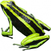 https://www.americanbreeder.com/images/com_adsmanager/categories/7034cat_t.jpg
