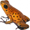 https://www.americanbreeder.com/images/com_adsmanager/categories/7039cat_t.jpg