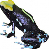 https://www.americanbreeder.com/images/com_adsmanager/categories/7041cat_t.jpg